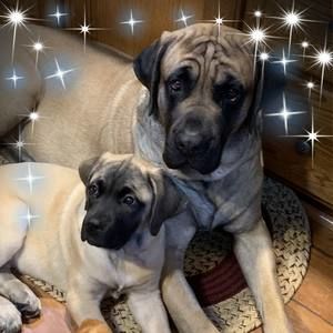 Meet your Posher, Carrie